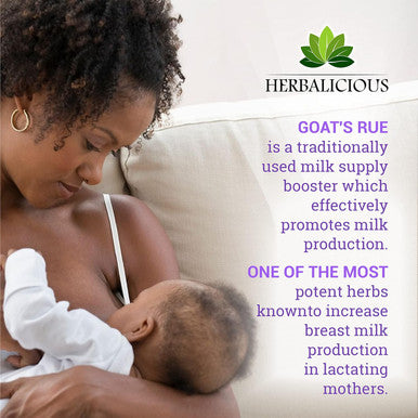 HERBALICIOUS Goat S Rue Capsules 1000Mg - Natural Goats Rue Herbal Supplement - Natural Galega Officinalis For Breast Feeding - Breastmilk Production Food Supplement Support - 100 Caps