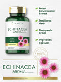 Carlyle Echinacea Capsules 650mg | 120 Count | Non-GMO & Gluten Supplement