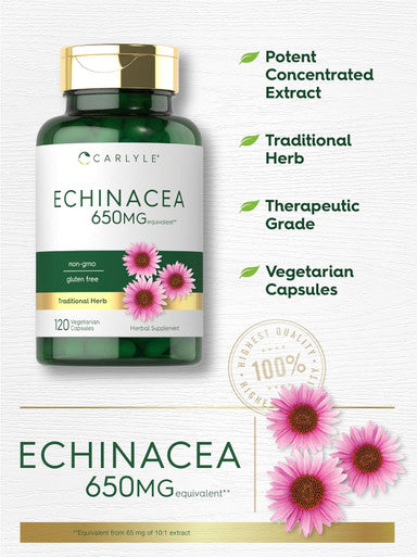Carlyle Echinacea Capsules 650mg | 120 Count | Non-GMO & Gluten Supplement