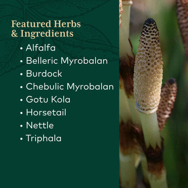 Gaia PRO Hair & Skin Formula - Skin Care & Nail Supplement with Burdock Root, Stinging Nettle, Horse Tail, Astaxanthin, Triphala & Gotu Kola - 60 Vegan Liquid Phyto-Capsules (30 Servings)