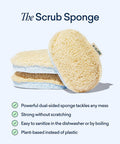 Blueland Scrub Sponge - 3 Pack of Dual-Sided Loofah Dish Sponges - Plastic- Plant-Based Kitchen Sponge Scrubbing Power Without Scratching
