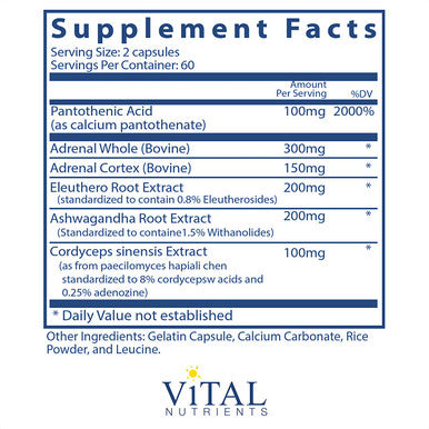 Vital Nutrients Adrenal Support Suitable for Men and Women Supports Adrenal Gland Function Supports Mild Stress and Anxiety and Supports a Healthy Immune System 120 Capsules