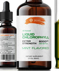 SIRUNES Liquid Chlorophyll Drops - Natural Sodium Copper Chlorophyllin Extract - Cleanse & Support Your Immune System & Energy Naturally - Vegan, Non-Gmo Dietary Greens Tincture - 2 Fl. Oz Bottle