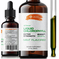 SIRUNES Liquid Chlorophyll Drops - Natural Sodium Copper Chlorophyllin Extract - Cleanse & Support Your Immune System & Energy Naturally - Vegan, Non-Gmo Dietary Greens Tincture - 2 Fl. Oz Bottle