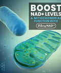 Hpn Supplements Nad3 Nad+ Booster Size 2 Month Supply Clinically Proven & Independently Tested - Metabolic Repair 312 Mg/ Serving - 120 Capsules