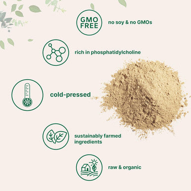 Micro Ingredients Organic Sunflower Lecithin Powder, 1 Pound, Sustainable Farmed, Cold Pressed, Rich In Phosphatidyl Choline And Protein, Making Liposomal Vitamin C, Lactation Supplement, Non-Gmo