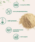 Micro Ingredients Organic Sunflower Lecithin Powder 1 Pound Sustainable Farmed Cold Pressed Rich in Phosphatidyl Choline and Protein Making Liposomal Vitamin C Lactation Supplement Non-GMO