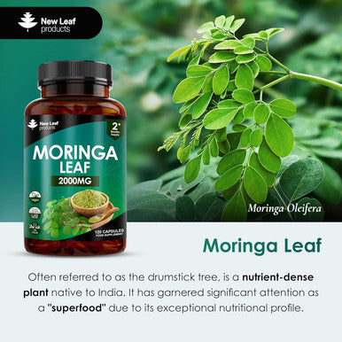 New Leaf Moringa Leaf Capsules High Strength Rosabella Moringa Capsules 2000Mg - Pure Vegan Moringa Capsules Extract and Powder 120 Moringa Capsules Enriched With Black Pepper By Leaf Two Months Supply