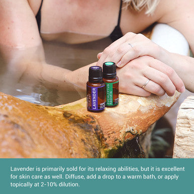 Nature s Fusions High Altitude French Lavender Essential Oil 15 Millir