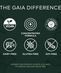 Gaia Herbs Sinus Comfort - Respiratory & Immune Support Supplement to Promote Healthy Sinuses* - with Nettle, mint Leaf Oil, Holy Basil, Yarrow, Plantain & Bayberry - 2 Fl Oz (30-Day Supply)