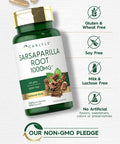Carlyle Sarsaparilla Root Capsules 1000mg | 120 Count | Non-GMO, Gluten Free Supplement