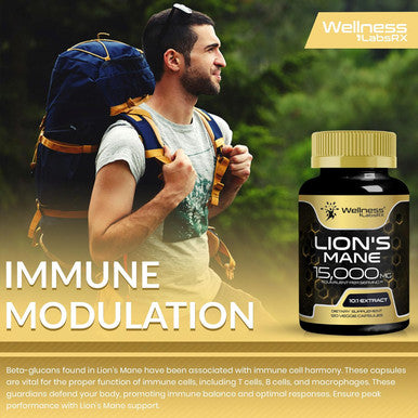 Lions Mane Supplement Capsules - 120 Count - Mushroom Supplement, Brain Supplements For Memory And Focus, Lion'S Mane Mushroom Capsules - Cognitive And Immune Support, Focus Supplement - Pack Of 2