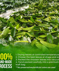 FreshDrinkUS, Premium 50 Mulberry Leaf Tea Bags, 100% Natural & Pure from Mulberry Leaves. Herbal Tea. Made with Natural Material Tea Bags. No Sugar, No Caffeine, No Gluten, Vegan.