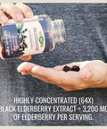 Natures Way Sambucus Elderberry Gummies, Immune Support Gummies*, Black Elderberry with Vitamin C and Zinc, 60 Gummies