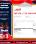 Aumeto NAD+ Supplement with Nicotinamide Riboside NR Resveratrol Quercetin - Cellular Energy & Repair Vitality Healthy Aging (90 Count (Pack of 1))