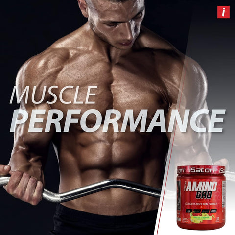 Isatori Amino-Gro Bcaa Powder Branched Chain Amino Acids With Glutamine Electrolyte Powder & Bio-Gro Bio-Active Peptides For Muscle Growth & Post Workout Recovery Blue Razz Snow Cone (30 Servings)
