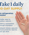 ReLife Adult Everyday Immune Probiotic TripleAction Immune Boost Formula 10 Billion CFU plus the power of Vitamin C and Zinc 30 Vegetarian Capsules