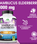 NaturaLife Labs Sambucus Elderberry 5,000 mg Super Concentrated 65:1 with Vitamin C & Zinc 90 Veggie Capsules
