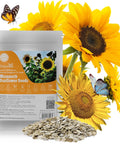 Sunflower Seeds for Planting, 15+ Varieties, 1 Oz, 300+ Mixed Seeds to Plant Colored Sunflower for Outdoors, Garden, Attracts Pollinators