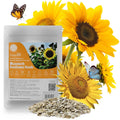 Sunflower Seeds for Planting, 15+ Varieties, 1 Oz, 300+ Mixed Seeds to Plant Colored Sunflower for Outdoors, Garden, Attracts Pollinators