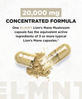 20,000mg 16x Strength Lions Mane Supplement Capsules Super Nootropic w. Ashwagandha & Rhodiola - Highest Potency Lion's Mane Mushroom Extract 50% Polysaccharides - Brain Supplement for Memory & Focus