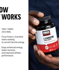 Force Factor L-Carnitine Supplement L Carnitine Tartrate 1000mg Tablets to Convert Fat Into Energy Support Muscle Recovery and Boost Exercise Performance Vegan Non-GMO 90 Vegetable Capsules