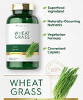Carlyle Wheat Grass Supplement | 500 Vegetarian Caplets | Non-GMO Gluten Superfood