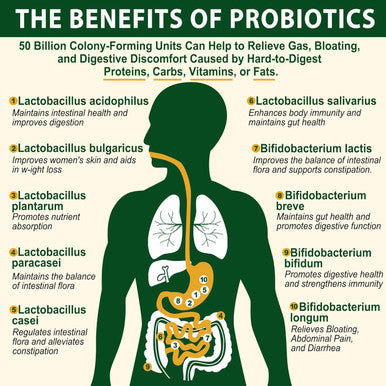 Probiotics Gummies For Women & Men - Fiber Probiotics Gummies With Prebiotics 50 Billion Cfus Probiotics, Inulin, Psyllium Husk & Multivitamin For Gut, Digestion & Immune Health, Vegan, 2 Pack