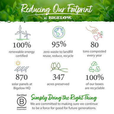 Bigelow Tea Benefits Wellness Teas Variety Pack Mixed Caffeinated Green Matcha & Caffeine- Herbal Tea 18 Count (Pack of 6) 108 Total Tea Bags (Packaging May Vary)