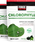 Force Factor Chlorophyll Soft Chews Antioxidants Supplement to Reduce Body Odor, Promote Fresh Breath, and Nourish Healthy Skin, Non-GMO, Gluten-Free, and Vegan, Fresh Mint Flavor, 60 Soft Chews