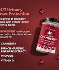 Eu Natural Urinary Tract Supplement Duo Killer Cranberry Capsules & Urinary Harmony Gummies - UT Defense blends D-mannose & Hibiscus + Cranberry Pine Bark Propolis & Vitamin D Clinical Strength Ingredients