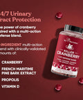 Eu Natural 9-In-1 Killer Cranberry Pills for Women UTI Defense Blend with Clinically Studied Ingredients 9 Extract Urinary Tract Supplement Pine Bark Propolis Vitamin D & More 60 Fast-Acting Capsules