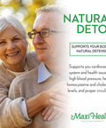 Maxi Health Kyolic Aged Garlic Extract Liquid - Odorless Garlic Supplements - Organic Kyolic Garlic - Organic Garlic Supplements - Immune Health (2 Pack)