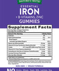 Iron Gummies | 60 Count | Vegan, Non-GMO & Gluten Supplement | with B Vitamins & Zinc | Grape Flavor | by Natures Truth
