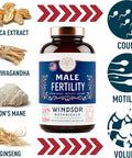 Male Fertility Supplement With Maca Root - Mens Health Conception Fertility Prenatal Vitamins Plus Natural Extracts - Prenatal Fertility Supplements For Men - 3Rd Party Tested - 120 Capsules, 2 Month