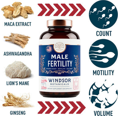 Male Fertility Supplement With Maca Root - Mens Health Conception Fertility Prenatal Vitamins Plus Natural Extracts - Prenatal Fertility Supplements For Men - 3Rd Party Tested - 120 Capsules, 2 Month