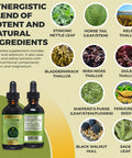 Go Nutrients Thyroid Support Comprehensive Natural Thyroid Supplement