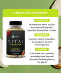 Karamd Vital Restore - Supplement For Leaky Gut, Colon Health, & Immune Support - With Zinc, Turmeric, Berberine & L-Glutamine - Vegetable Capsules - 30 Servings (90 Capsules)