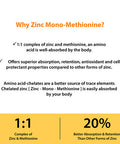 Zinc 50mg Supplement 120 Vegetarian Capsules, Zinc Highly Absorbable Supplements for Immune Support System, Gluten Free Zinc Supplement