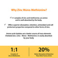 Zinc 50mg Supplement 120 Vegetarian Capsules, Zinc Highly Absorbable Supplements for Immune Support System, Gluten Free Zinc Supplement