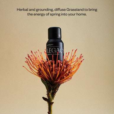 Vitruvi Legacy Woodsy Essential Oil Blend with Rose, Bergamot, Frankincense, Cedarwood