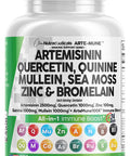 Artemisinin 2500Mg Quercetin 1000Mg Zinc 100Mg Mullein Quinine Supplement With Sea Moss Bromelain Ashwagandha Root Nettle Leaf