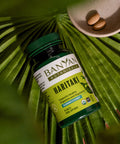 Banyan Botanicals Haritaki Tablets Certified Organic Terminalia Chebula Supports Detoxification & Rejuvenation* 90 Tablets Non-Gmo Sustainably Sourced Certified Fair For Life Fair Trade