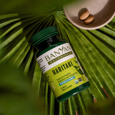 Banyan Botanicals Haritaki Tablets Certified Organic Terminalia Chebula Supports Detoxification & Rejuvenation* 90 Tablets Non-Gmo Sustainably Sourced Certified Fair For Life Fair Trade