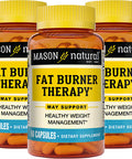 Mason Natural Fat Burner Therapy with Chromium, Calcium and Vitamin B6 - Promotes Healthy Body Weight, Supports Weight Management Goals, 60 Capsules (Pack of 3)