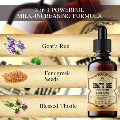 Herbalicious Goat's Rue Liquid Extract 4 fl oz - Natural Herbal Tincture with Goat's Rue Fenugreek Seeds Blessed Thistle - Alcohol Non-GMO Lactation Supplement for Increased Breast Milk