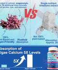 Calcium Supplement Gummy - Bone Strength With Algae Calcium 600Mg, Magnesium 300Mg, Zinc, D3 & B12 Complex - Plant-Based Calcium Magnesium 2:1 Ratio, Calcium Citrate Alternative, Gut-Friendly, 1Pack