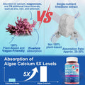Calcium Supplement Gummy - Bone Strength With Algae Calcium 600Mg, Magnesium 300Mg, Zinc, D3 & B12 Complex - Plant-Based Calcium Magnesium 2:1 Ratio, Calcium Citrate Alternative, Gut-Friendly, 1Pack