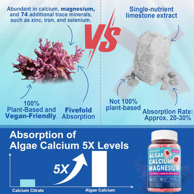 Calcium Supplement Gummy - Bone Strength With Algae Calcium 600Mg, Magnesium 300Mg, Zinc, D3 & B12 Complex - Plant-Based Calcium Magnesium 2:1 Ratio, Calcium Citrate Alternative, Gut-Friendly, 1Pack