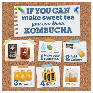 Fermentaholics Kombucha Scoby - Live Starter Culture Start A Half Gallon Batch Six Ounces Of Strong Mature Starter Tea - Brew Your Own Kombucha